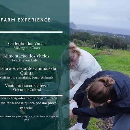 Basalto Negro Al Vendégház 3*